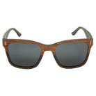 Gold Coast Longboards Sunglasses Medium - 141mm Miami - Two Tone brown