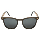 Gold Coast Longboards Sunglasses Medium - 140mm Tallie - Dark Brown