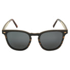 Gold Coast Longboards Sunglasses Medium - 140mm Tallie - Dark Ebony